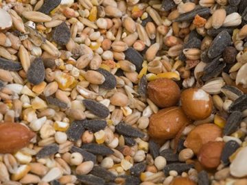 ban-nen-an-gi-de-mai-toc-luon-bong-muot-2